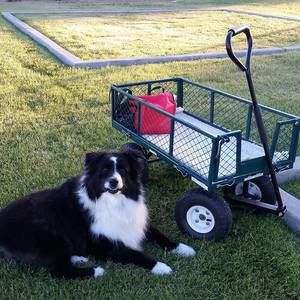 Meet your Posher, Teresa